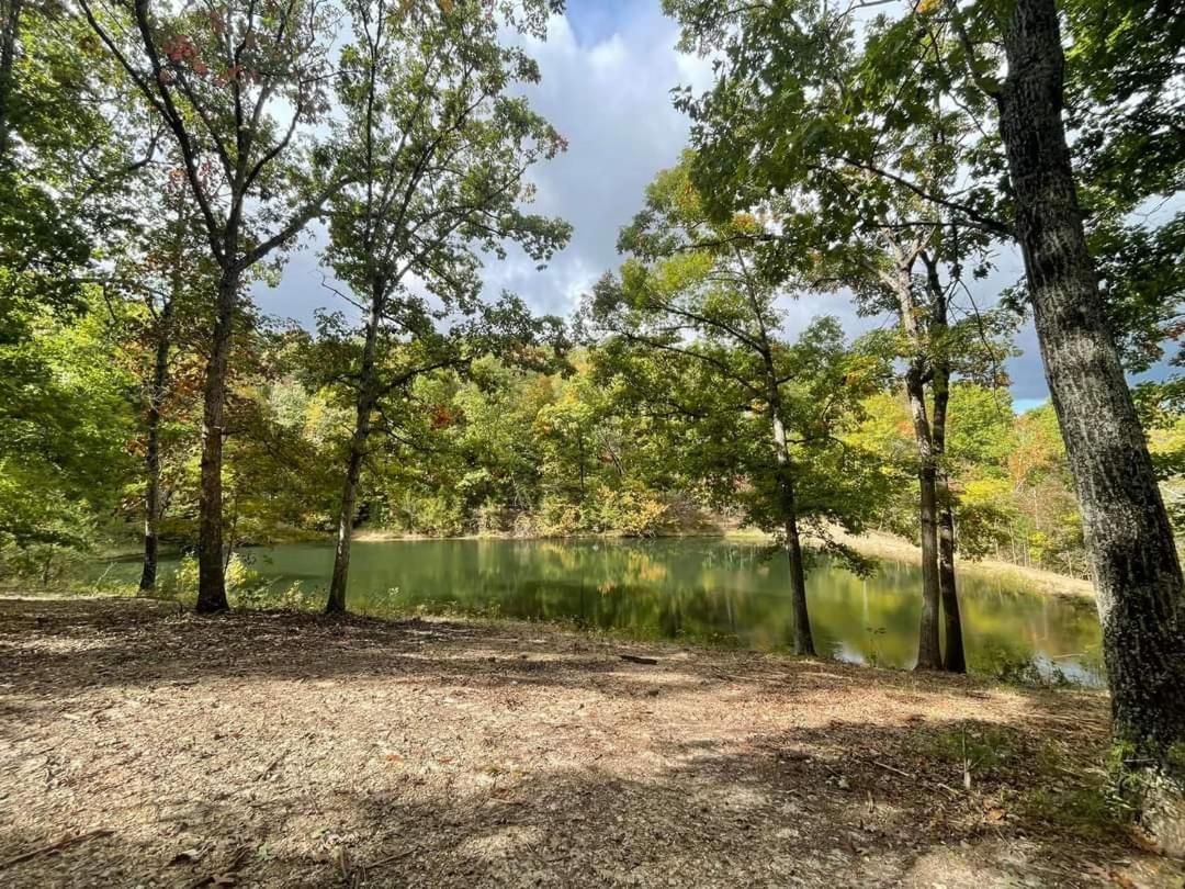 Secluded Treehouse In The Woods - Tree Hugger Hideaway Villa Branson Eksteriør billede
